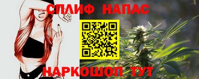мдпв Славгород