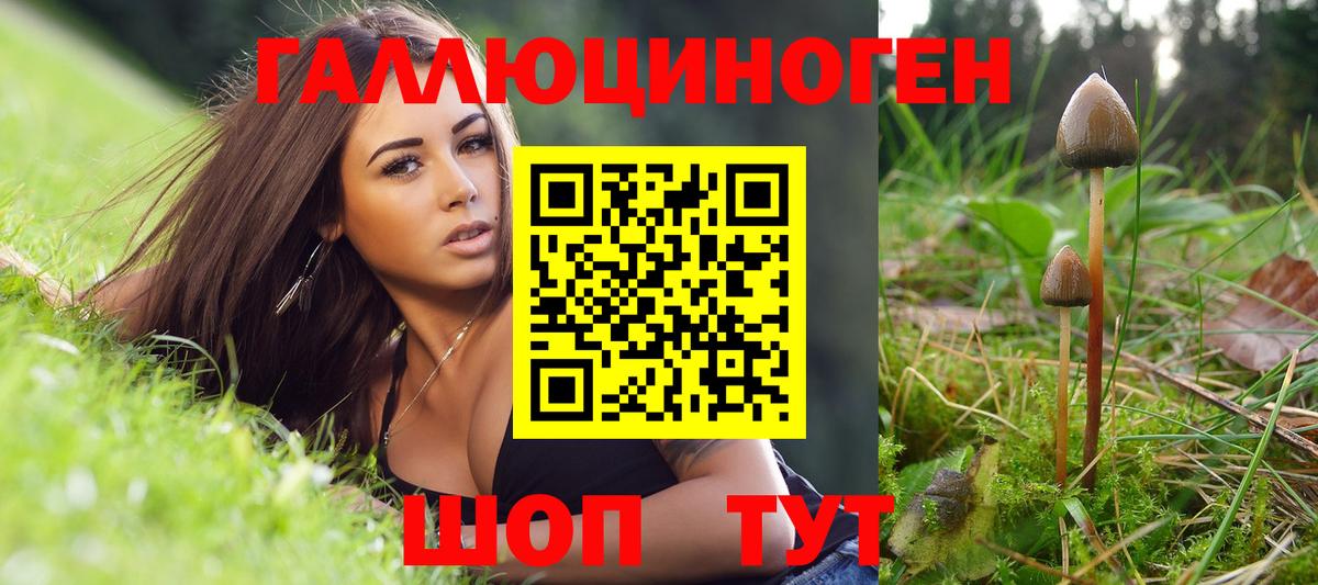 Псилоцибиновые грибы мухоморы  Вход с VPN  Новошахтинск 